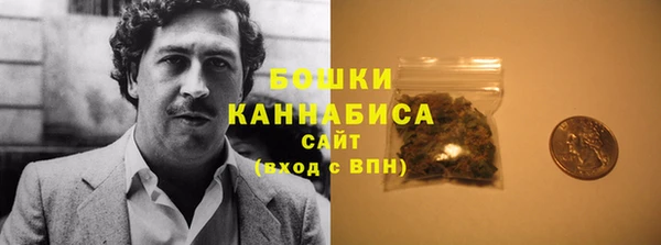 бошки Алексин