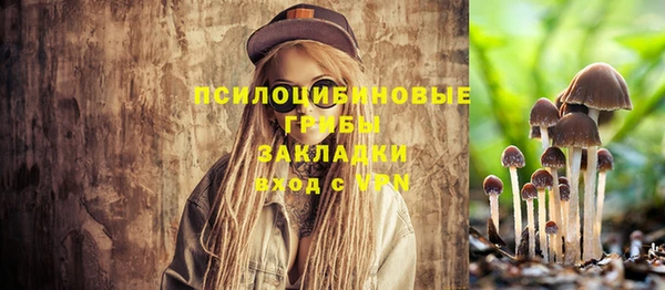 бошки Алексин